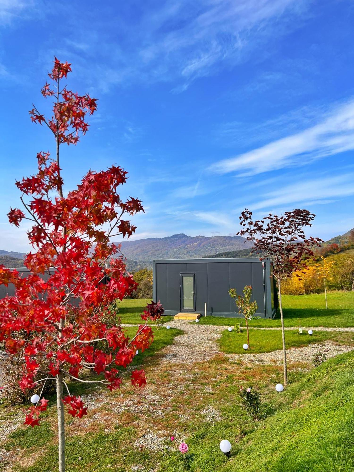 Flandra Glamping Hotel Corbeni Eksteriør billede